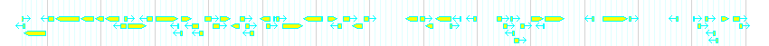 Genes detail