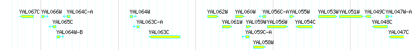 Genes detail