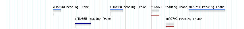 CDS detail