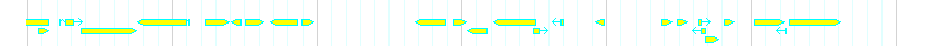 Genes detail