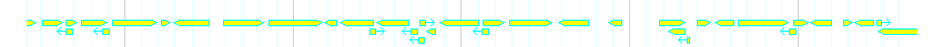 Genes detail