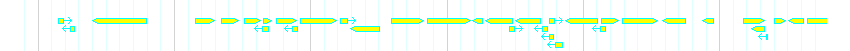 Genes detail