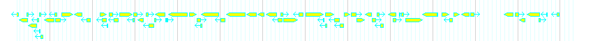 Genes detail