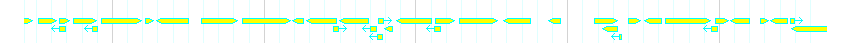 Genes detail