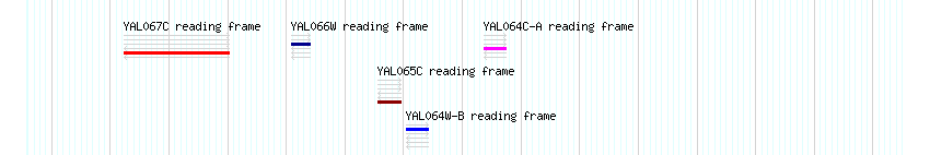 CDS detail