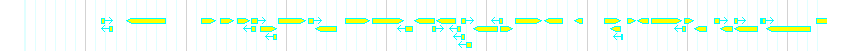 Genes detail