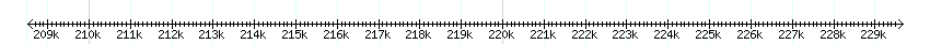 __scale__ detail