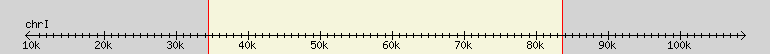 __scale__ region