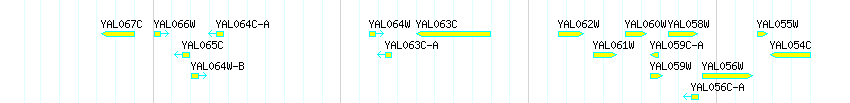 Genes detail