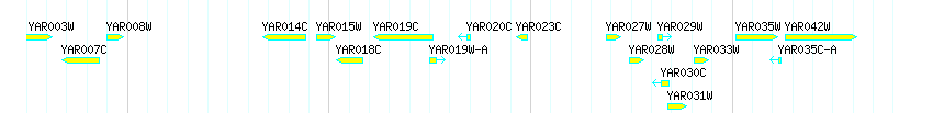 Genes detail