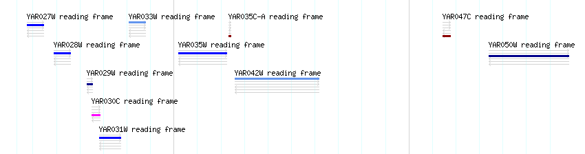 CDS detail
