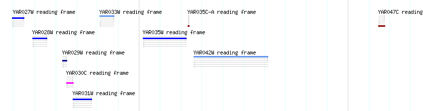 CDS detail