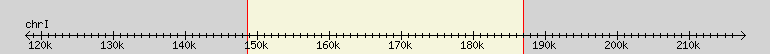 __scale__ region