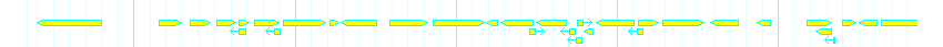 Genes detail