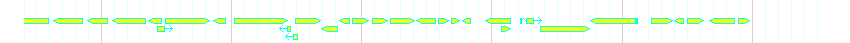 Genes detail