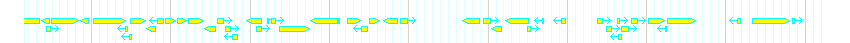 Genes detail