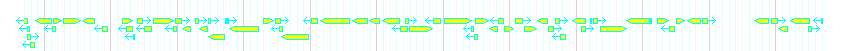 Genes detail