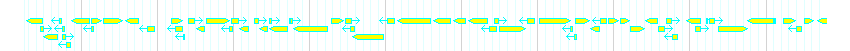 Genes detail