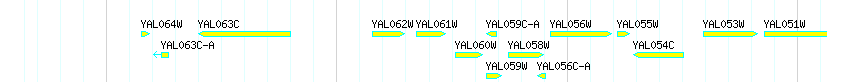 Genes detail