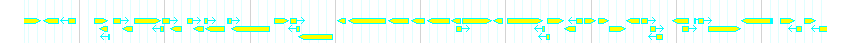 Genes detail