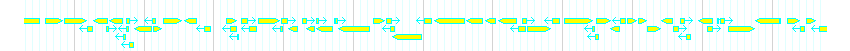 Genes detail