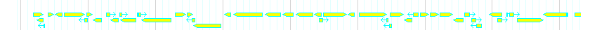 Genes detail