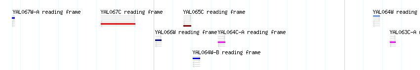CDS detail