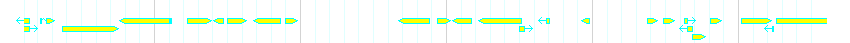 Genes detail
