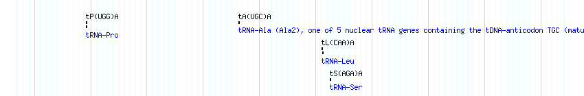 tRNAs detail