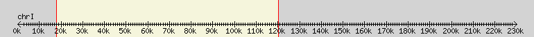 __scale__ overview