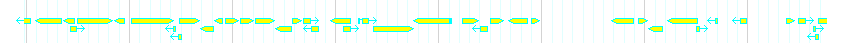 Genes detail