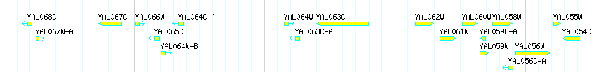 Genes detail