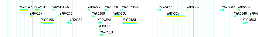 Genes detail