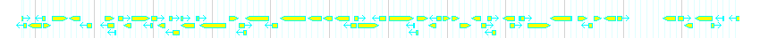 Genes detail