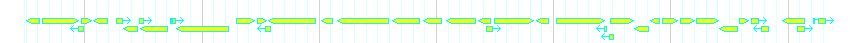 Genes detail