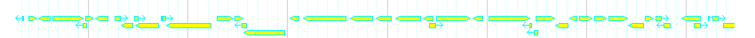 Genes detail