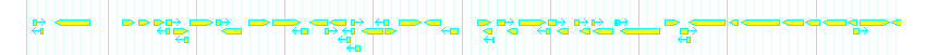 Genes detail