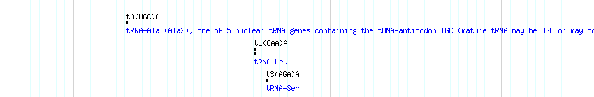 tRNAs detail