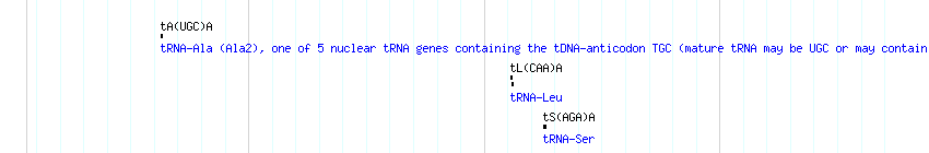 tRNAs detail