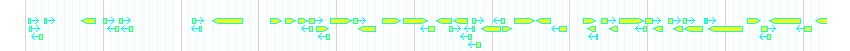 Genes detail