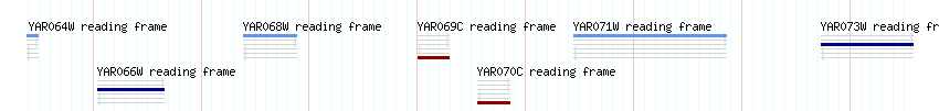 CDS detail