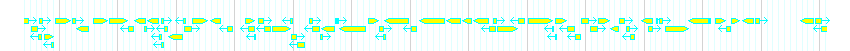 Genes detail