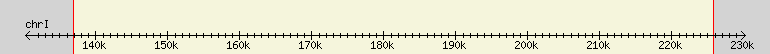 __scale__ region