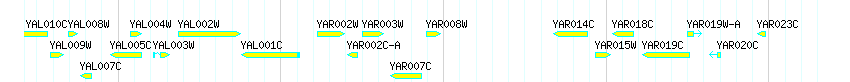 Genes detail