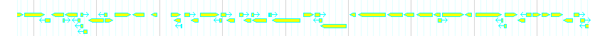 Genes detail