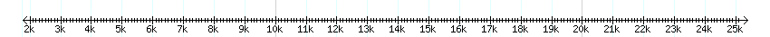 __scale__ detail