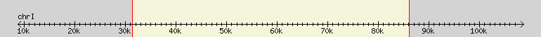 __scale__ region
