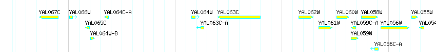 Genes detail