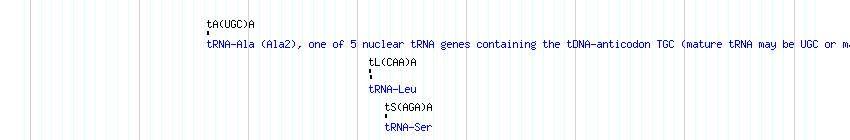 tRNAs detail