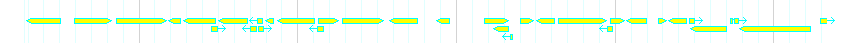 Genes detail